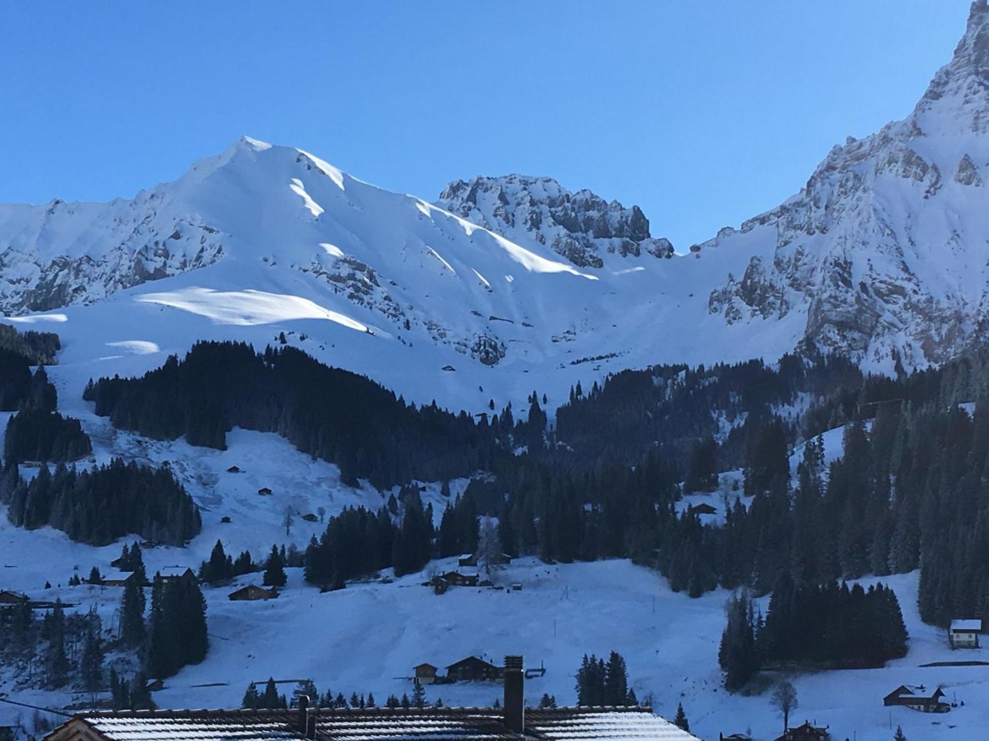 Apartment Hari By Interhome Adelboden Buitenkant foto